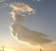 ありんこりんの画像