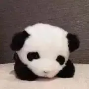 yuuの画像