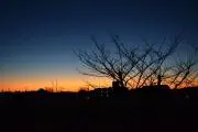 露商(月.木発送)の画像