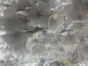 はるな