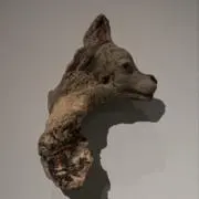 yqmpmwの画像