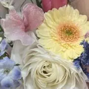 にゃー　即購入可⭕️の画像