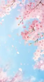 さくらの画像