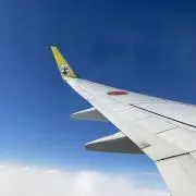 りんご