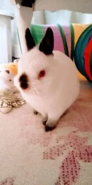 ゆき