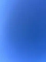 Blueの画像