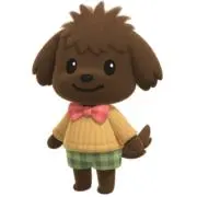 さくらの画像