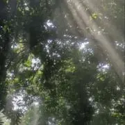 ★の画像