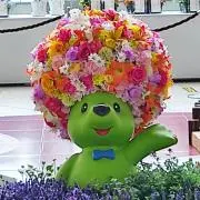 ちょこちょこりゅうの画像