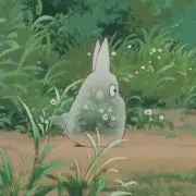ゆの画像
