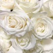♡の画像