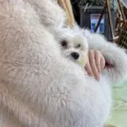 はちみつ