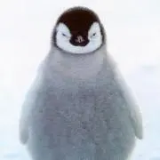 らの画像