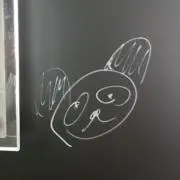 ꒰՞⸝⸝ᴗ ·̫ ⊂՞꒱の画像