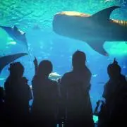ゆっちー☆の画像