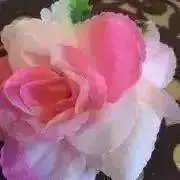 雑貨&ハンドメイド☆Ku-Ha(クーハ)の画像