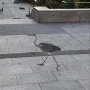 この画像
