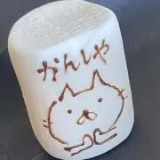 渡ゆん◎の画像