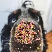 かけむらおの画像