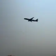 ぱに