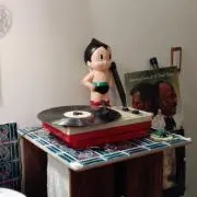 キクコ