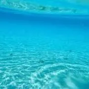 早い者勝ちshop♪プロフご覧下さい✩の画像