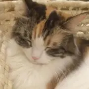 ＊ゆゆ＊※プロフ必読の画像