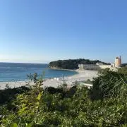 YTの画像