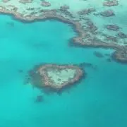 Tiaraの画像