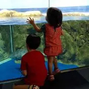 チャンリエ