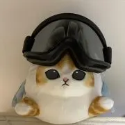 Samenyanの画像
