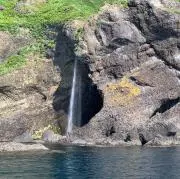 濱の画像
