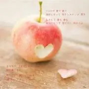 ノンの画像