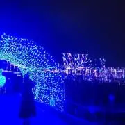 まるの画像