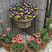 カズヒロの画像