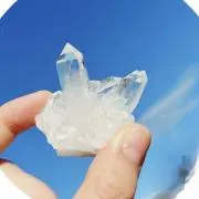Tmyの画像