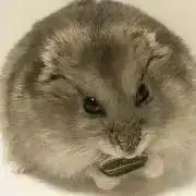 るる