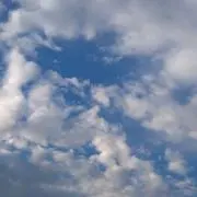 雲政