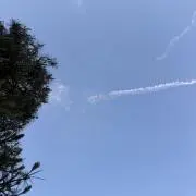 しらたき