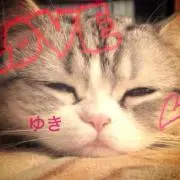 ゆき★セール実施中