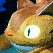 Vyingの画像