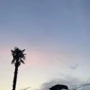 くりちゃん