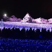 鶴ちゃんの画像