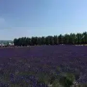 もちもちの画像