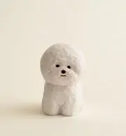 marron lenの画像