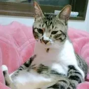 アカウントの画像