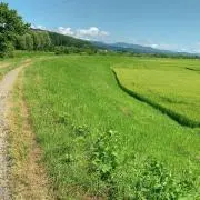 Yuraxxx