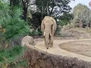 そらママの画像