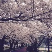 みい