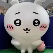 ちょいかわ